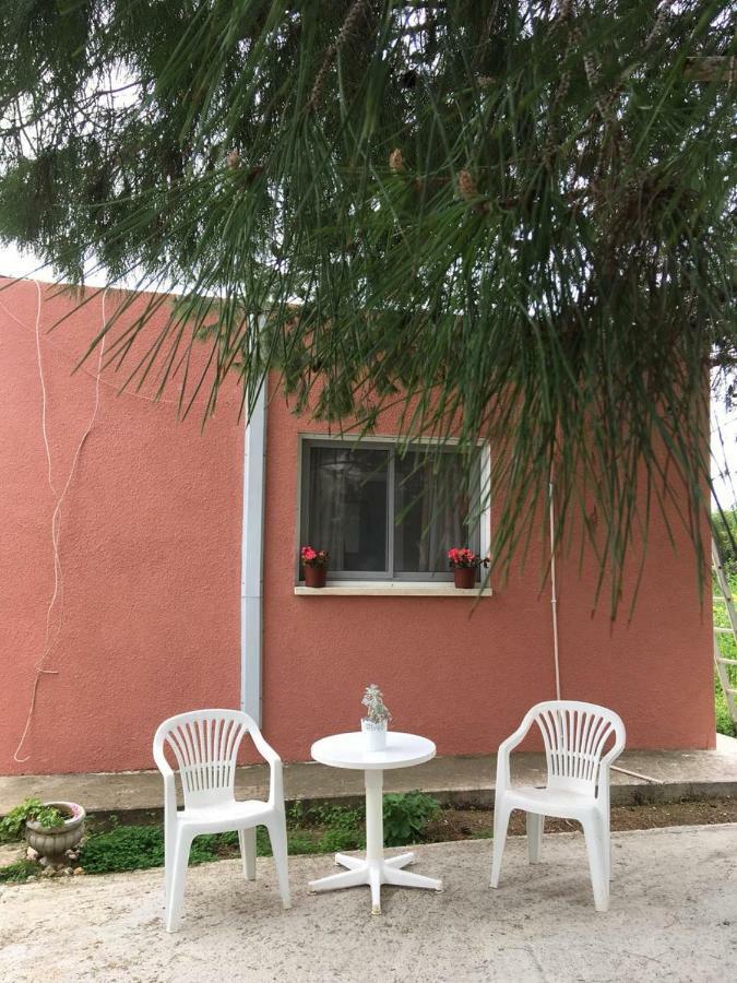 Detached Cozy Studio Paralímni Extérieur photo