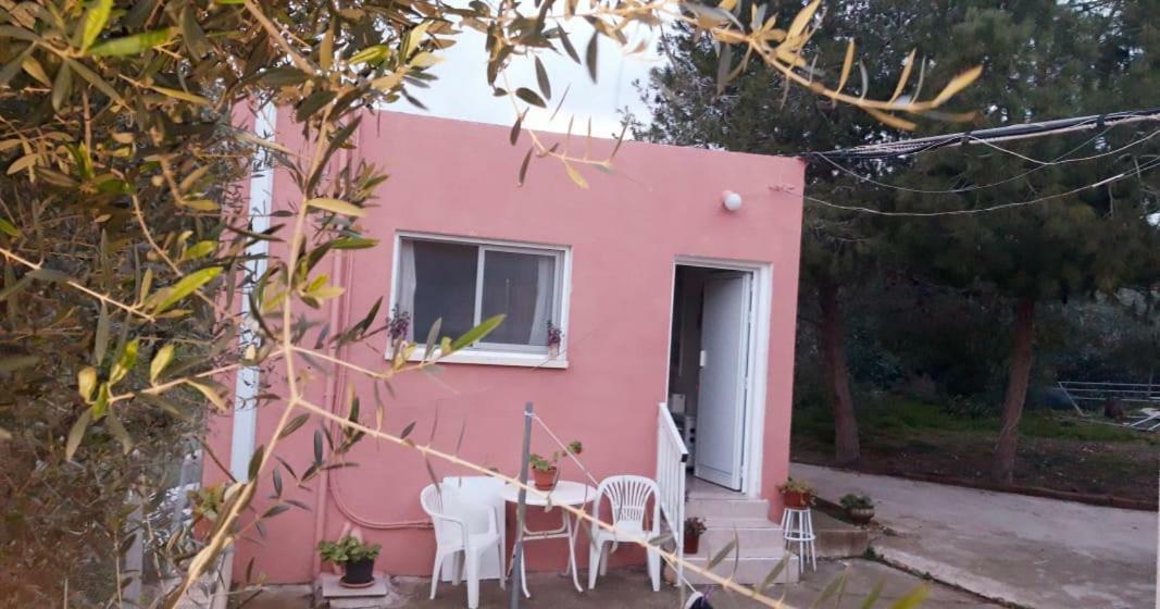 Detached Cozy Studio Paralímni Extérieur photo