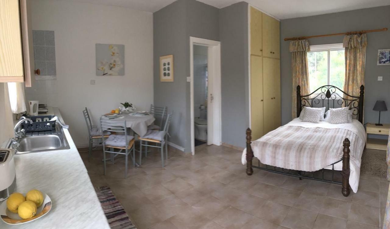 Detached Cozy Studio Paralímni Extérieur photo